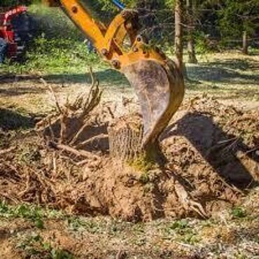 Корчевание деревьев, пней и кустарников