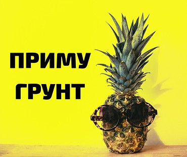 Приму грунт