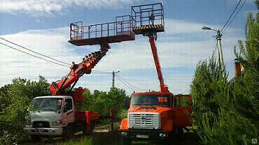 Обрезка деревьев