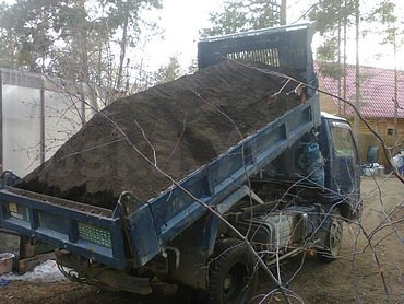 Доставка навоза 