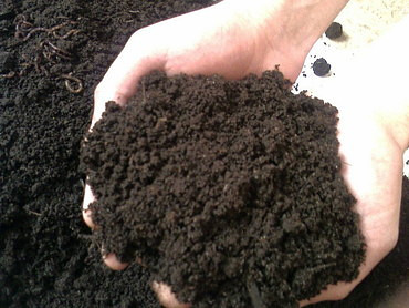 Чернозем, грунт плодородный