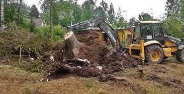 Корчевание пней
