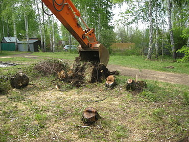 Выкорчевывание пней