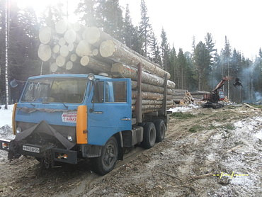 Доставка леса