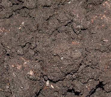 Доставка чернозёма