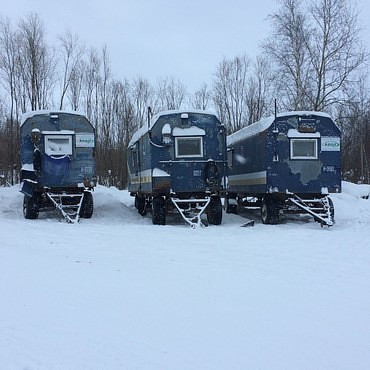 СЗММ, КЕДР, МЕДВЕДЬ, ТАЙГА