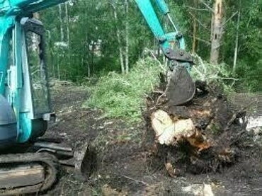 Корчевание пней