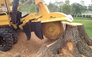 Опиловка и рубка деревьев