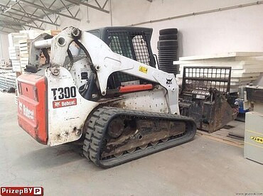 Bobcat 300