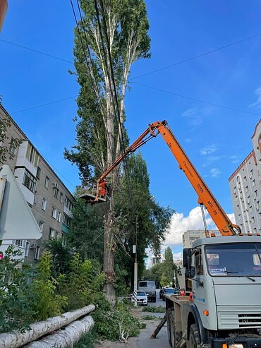 Кронирование, обрезка деревьев