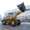 Foton Lovol  FL956F-II