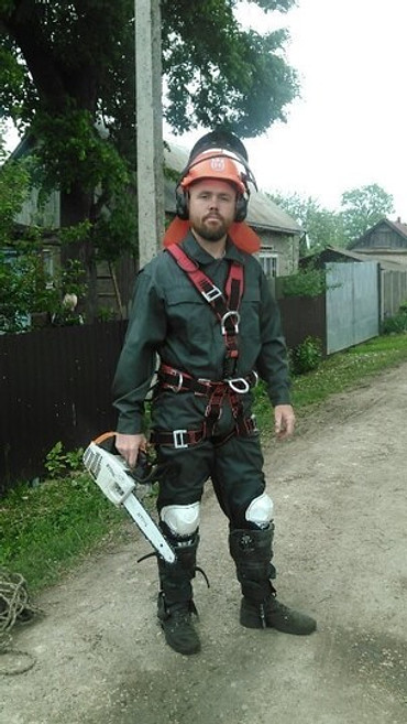 Вырубка деревьев