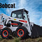Bobcat