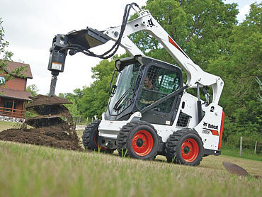 Bobcat