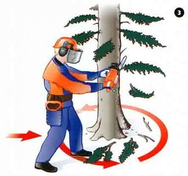 Благоустройство территории