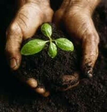 Доставка чернозема и перегноя