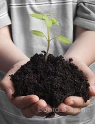 Доставка чернозёма