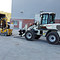 TEREX TL 100