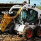 Bobcat-430