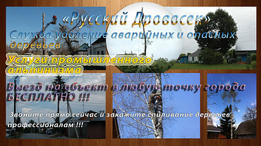 Кронирование деревьев