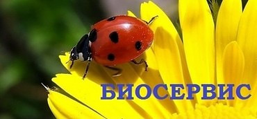 Услуги по откачке септиков и сливных ям