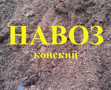 Навоз и перегной с доставкой