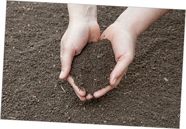 Доставка строительных блоков