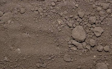 Вывоз строительного мусора (грунта)