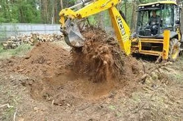 Корчевание деревьев, пней и кустарников