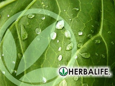 Специальные услуги