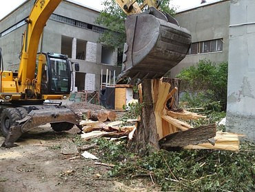 Корчевание пней