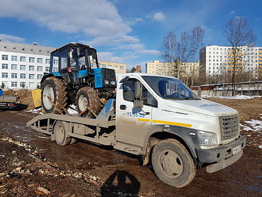 Газон Нэкст