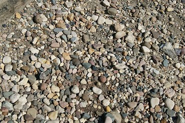 Грузовые транспортные услуги