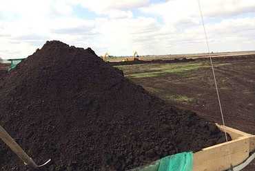 Предлагаю грунт