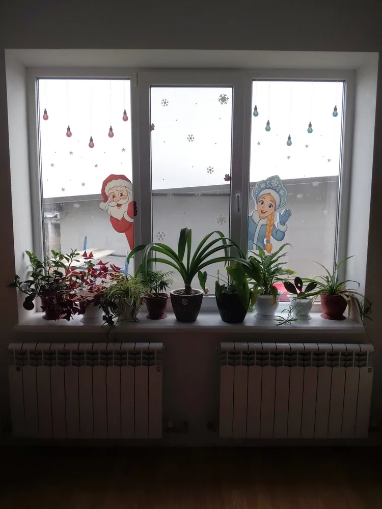 Фотография покупателя