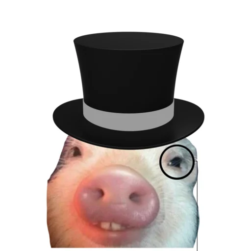 Pigletsdanila