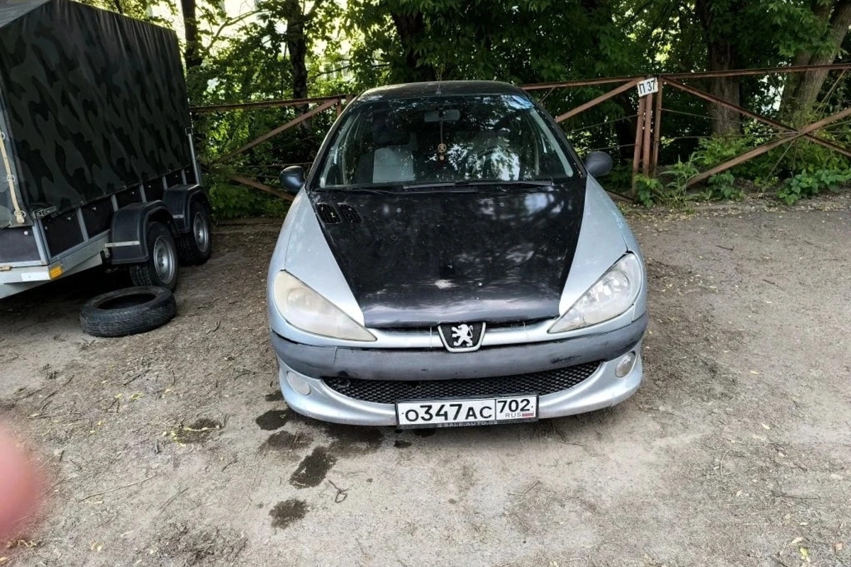 Peugeot 206 2007, 209 000 км, 1.4 л, 75 л.с., фото 2