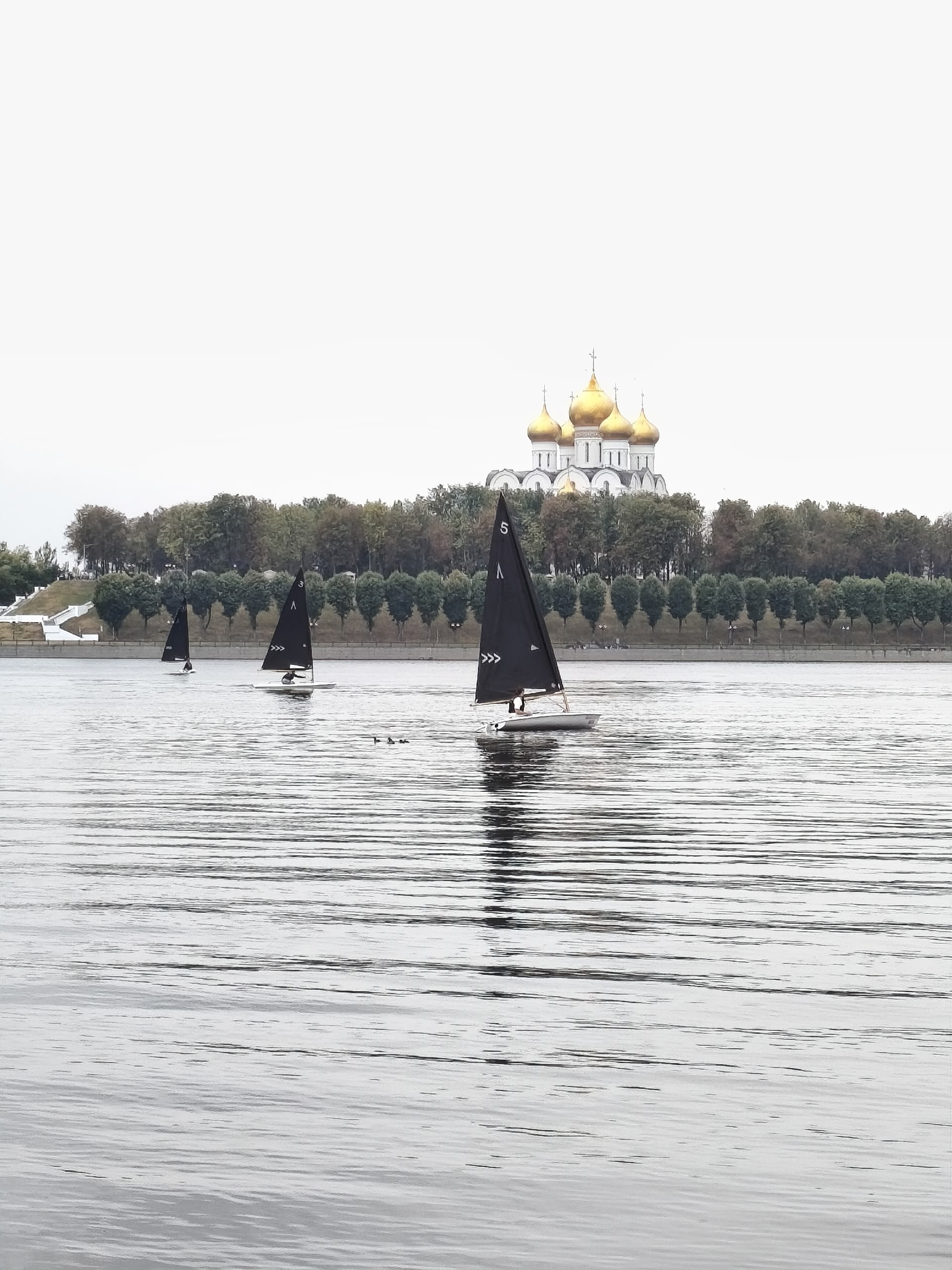 Путешествия