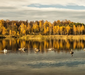 Осень