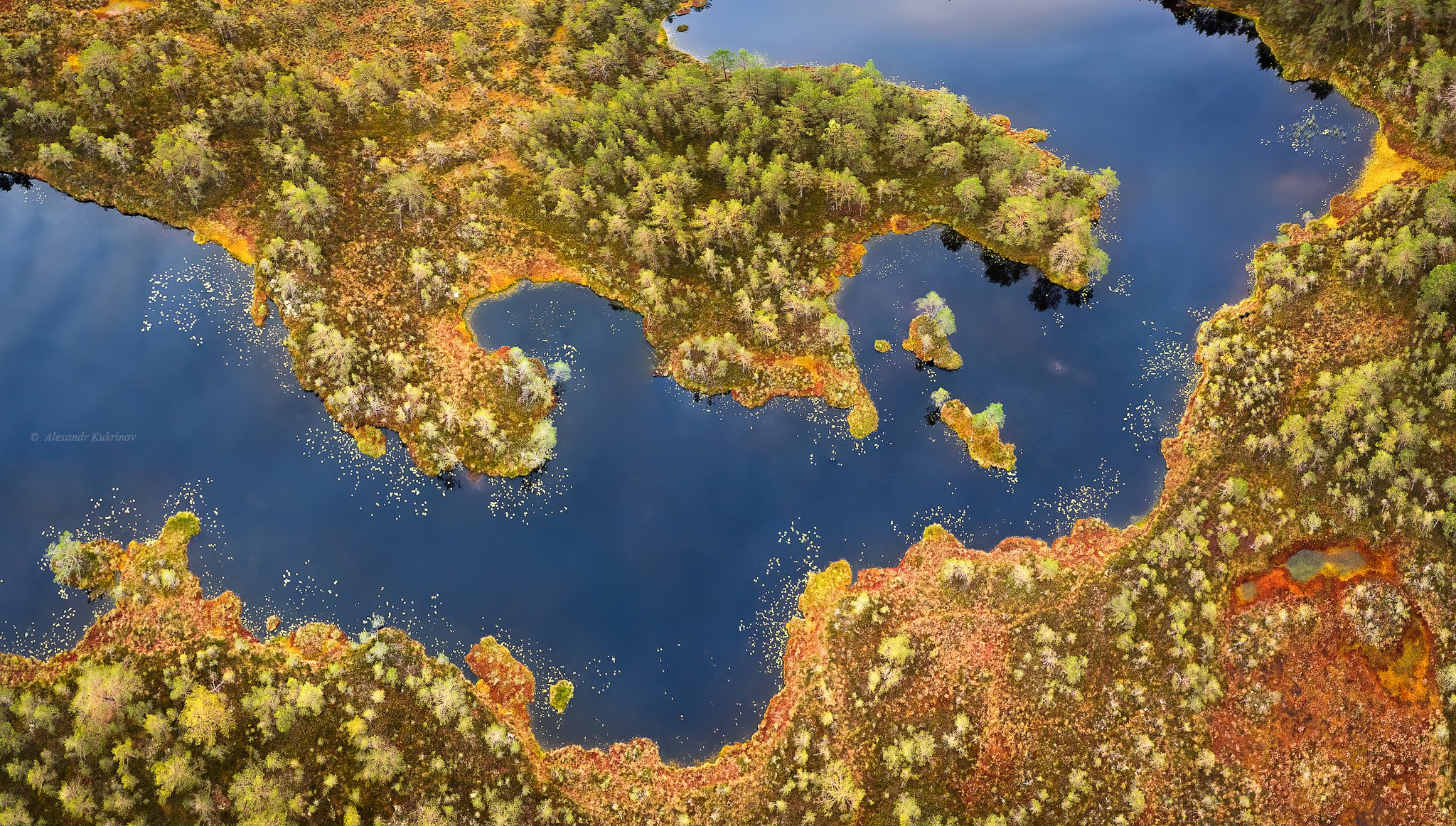 Болота Лен. области...