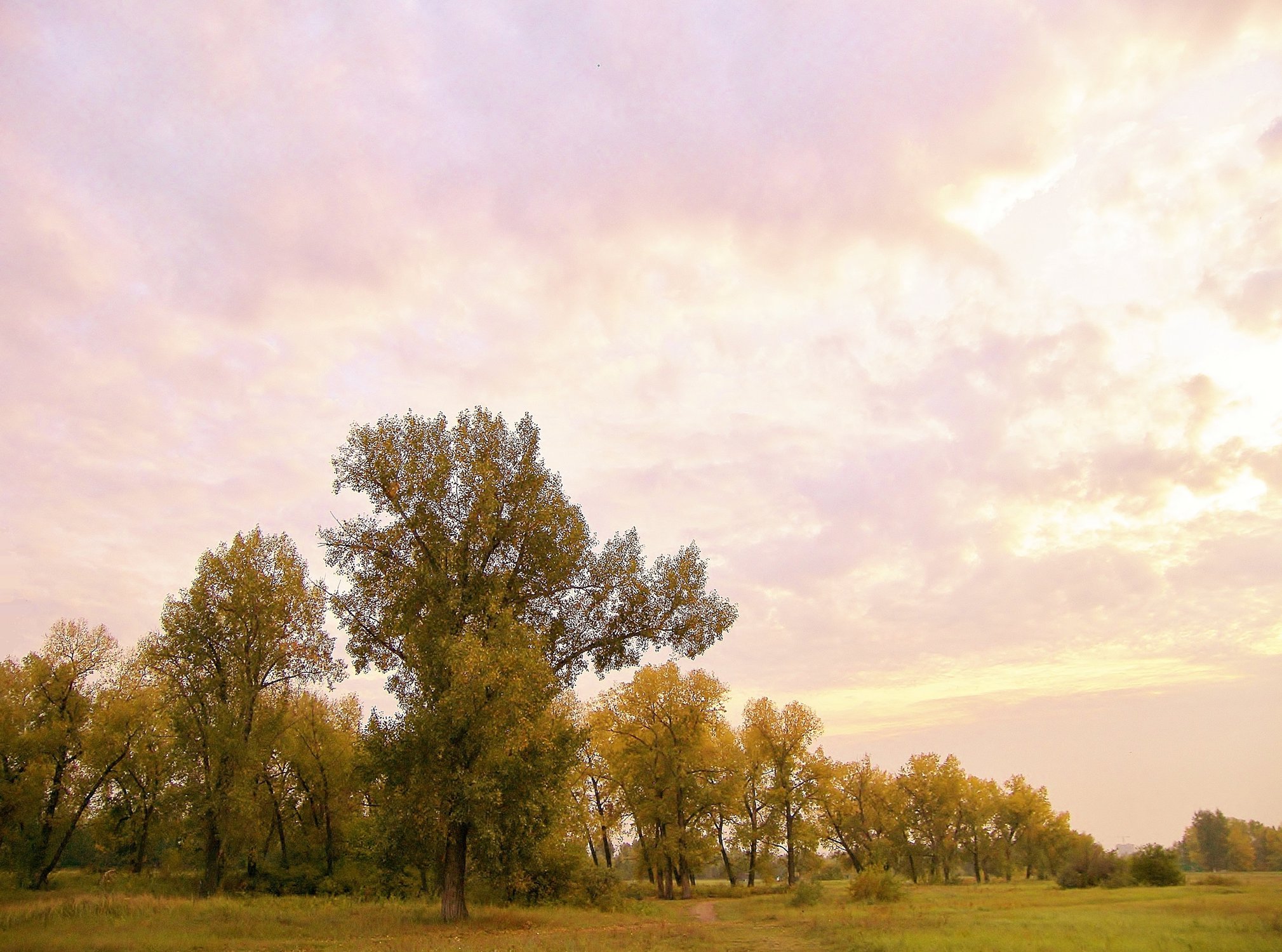 Родные просторы