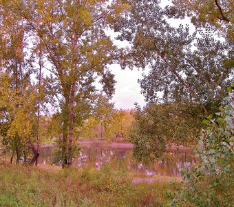 Вид на пруд