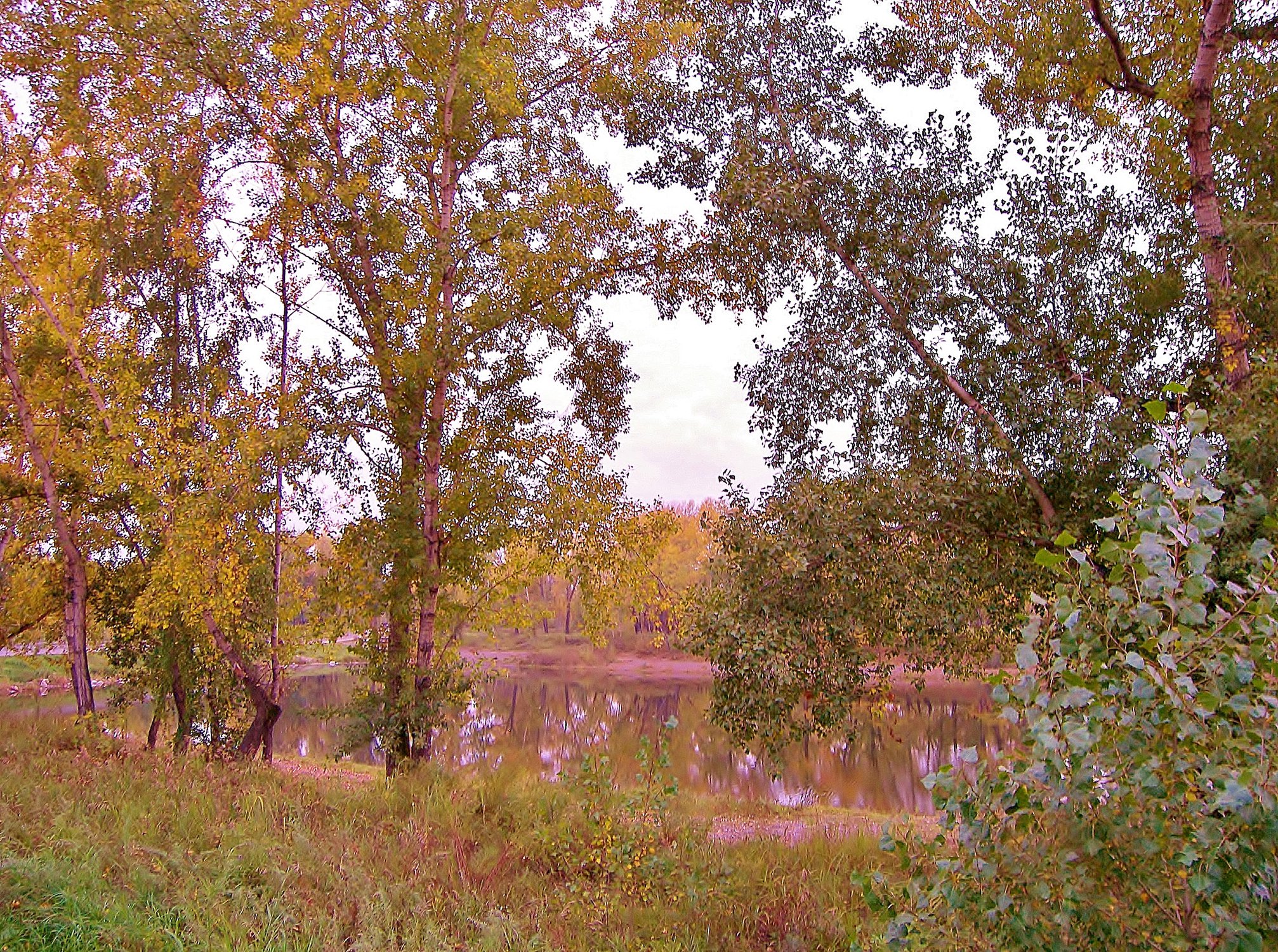 Вид на пруд