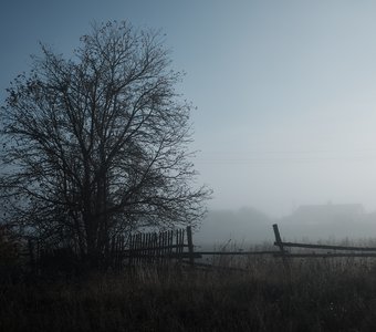 Рассвет. Шигонский район