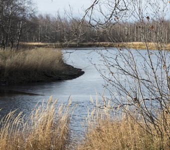 Зарисовки осени