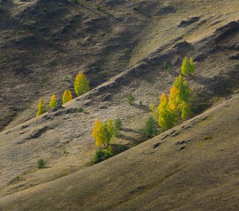 Горная растительность Нурали