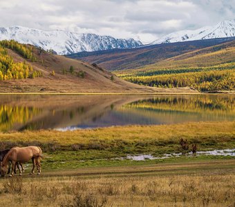 У озера...осенним, солнечным денечком.