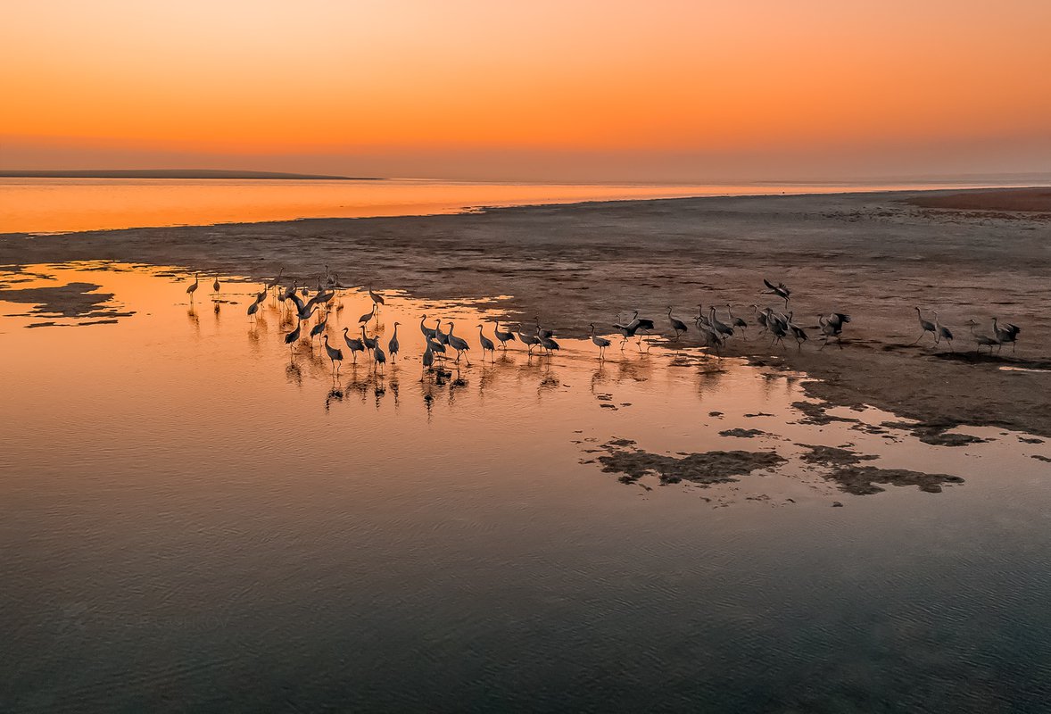 остров водный