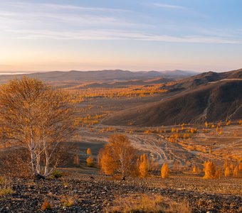 Золотая россыпь