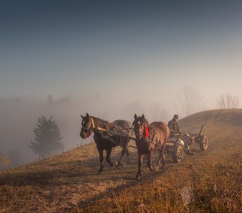 Карпатские будни.....